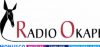 Logo for Radio Okapi