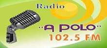 mañana Presta atención a director Radio Apolo - Radio en vivo en línea