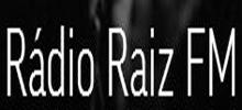 Logo for Radio Raiz
