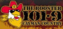 Logo for Rooster 101.9