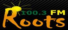 Roots FM
