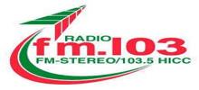 Logo for FM 103.5
