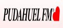 Logo for Pudahuel FM