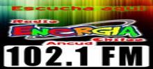 Logo for 102.1 FM Ancud