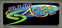 Logo for Sacra 88.5 FM
