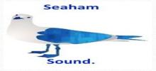 Logo for Seaham Sound