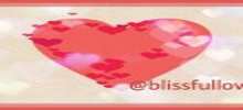 Logo for Bliss Full Love 2013