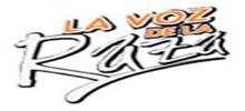 Logo for La Voz De La Raza