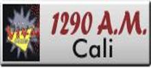 Logo for Radio Viva Cali 1290 AM