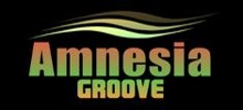Logo for Amnesia Groove