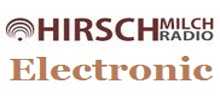 Hirschmilch Electronic Radio