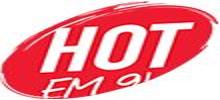 Logo for Hot FM 91.3