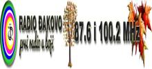 Logo for Radio Djakovo