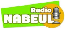 Logo for Radio Nabeul