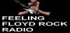 Logo for Feeling Floyd Rock