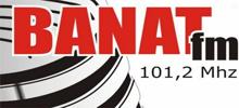 Logo for Banat FM