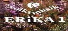 Logo for ERiKA 1
