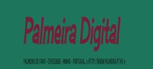 Logo for Palmeira Digital