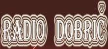 Logo for Radio Dobric