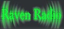 Logo for Raven Radio Simple Minds
