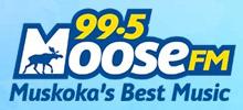 Logo for 99.5 Moose FM