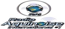 Logo for Radio Aquinoise International