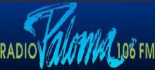 Logo for Paloma Radio