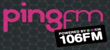 Logo for Ping FM