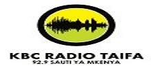 Radio Taifa