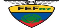 Logo for FEF MZ Radio