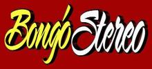 Logo for Bongo Stereo