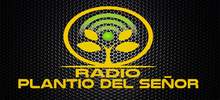 Logo for Plantio Del Senor