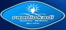 Logo for Raadio Kadi