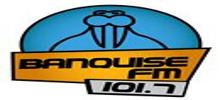 Logo for Banquise FM