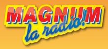 Logo for Magnum La Radio