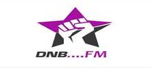 Logo for DNB FM