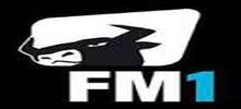 Radio FM1 St Gallen