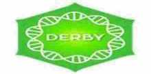 Positively Derby