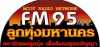 Logo for FM 95