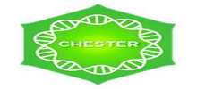 Positively Chester