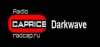 Logo for Radio Caprice Darkwave