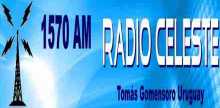 Radio Celeste 1570 SONO