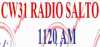 Logo for Radio Salto