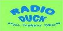 Radio Duck