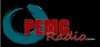 Logo for PEMG Radio