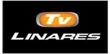 Television Linares