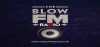 Logo for The Blow FM Radio