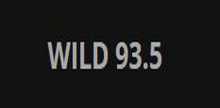 Wild 93.5 ФМ