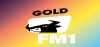 Logo for FM1 Gold