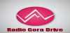 Logo for Radio Gora Drive